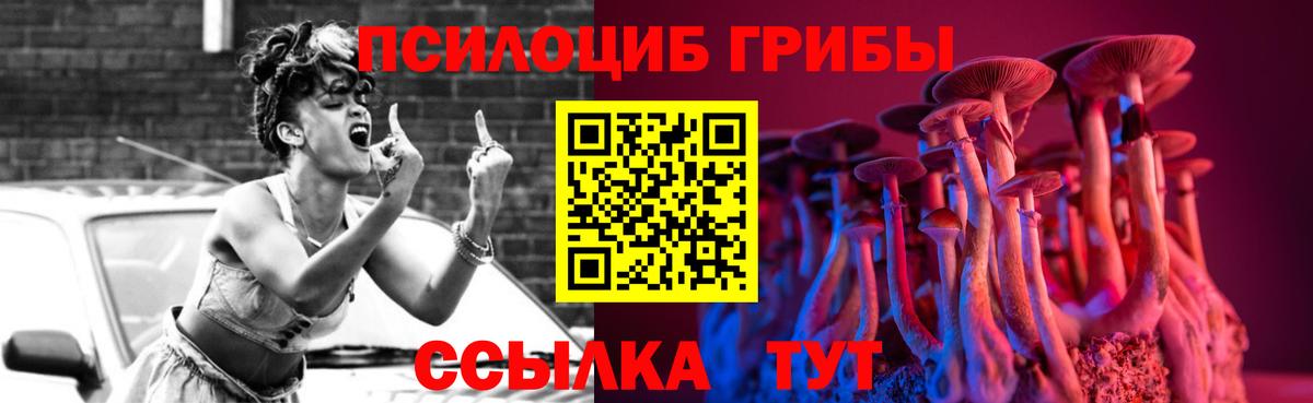 даркнет сайт  Вход с VPN  Ессентуки  Псилоцибиновые грибы MAGIC MUSHROOMS 